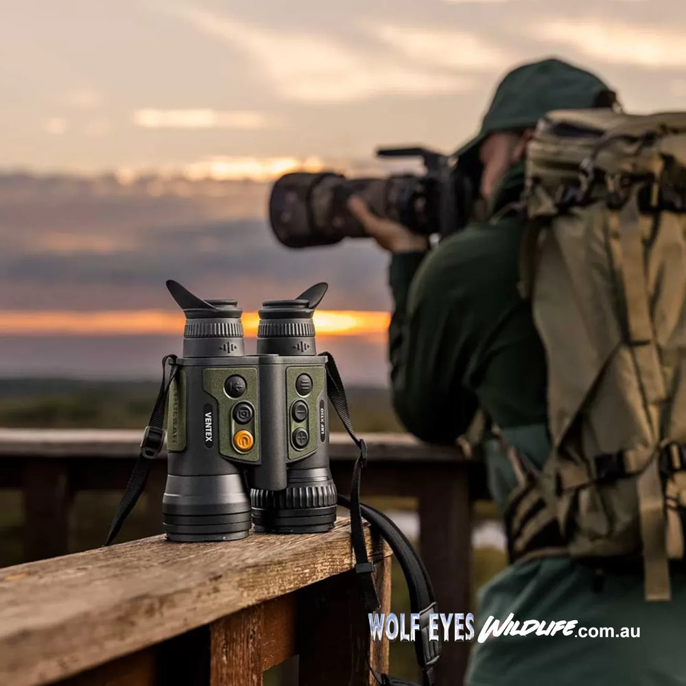 Birdwatching  Photography with Pulsar Wildlife Ventex XT50 XP35 LRF thermal binoculars Australia