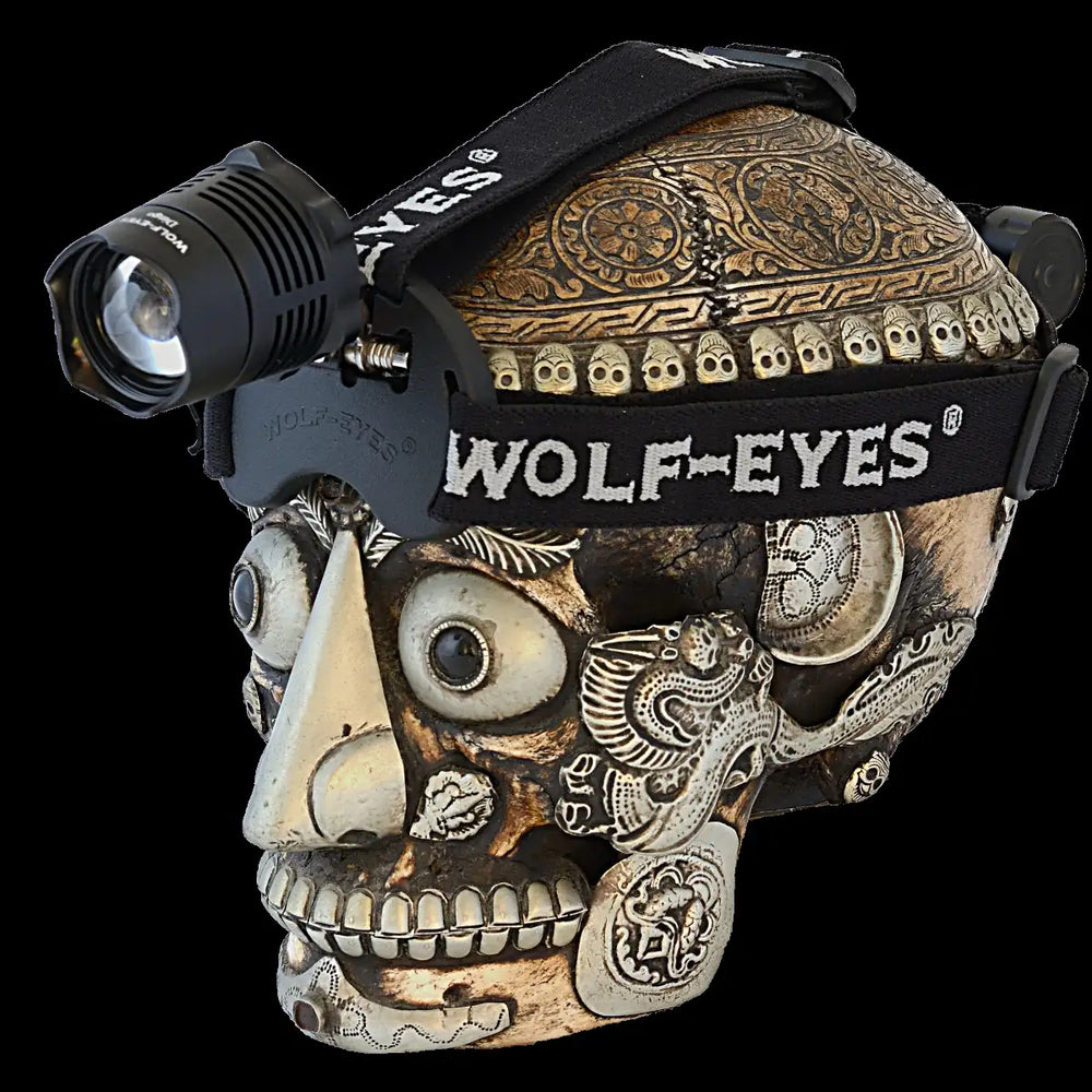 Rechargeable headlamp Wolf Eyes Dingo21 on skull showing battery pack at back and headtorch controls at front