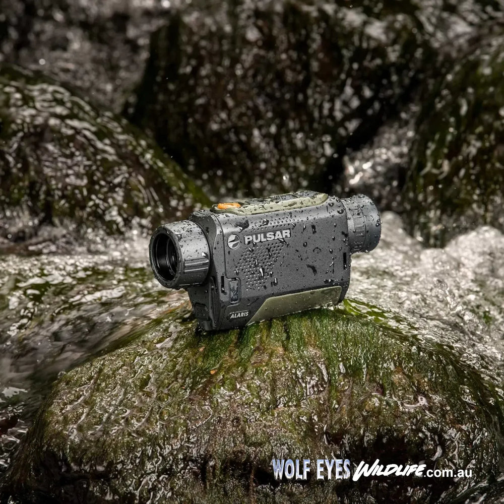 Pulsar Wildlife Alaris XG30 XQ30 thermal monocular Australia covered in water on mossy rock in river