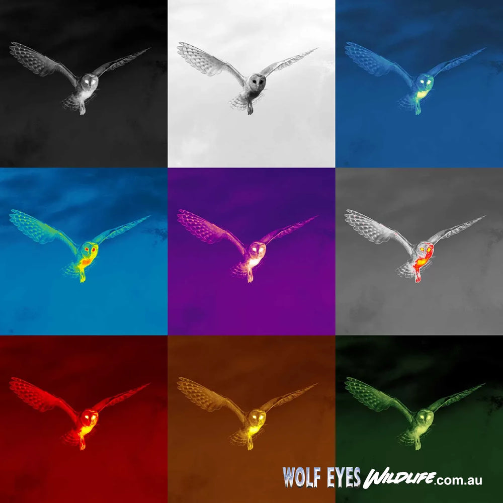 Pulsar Wildlife Thermal Nine Colour Palettes used on thermal monoculars