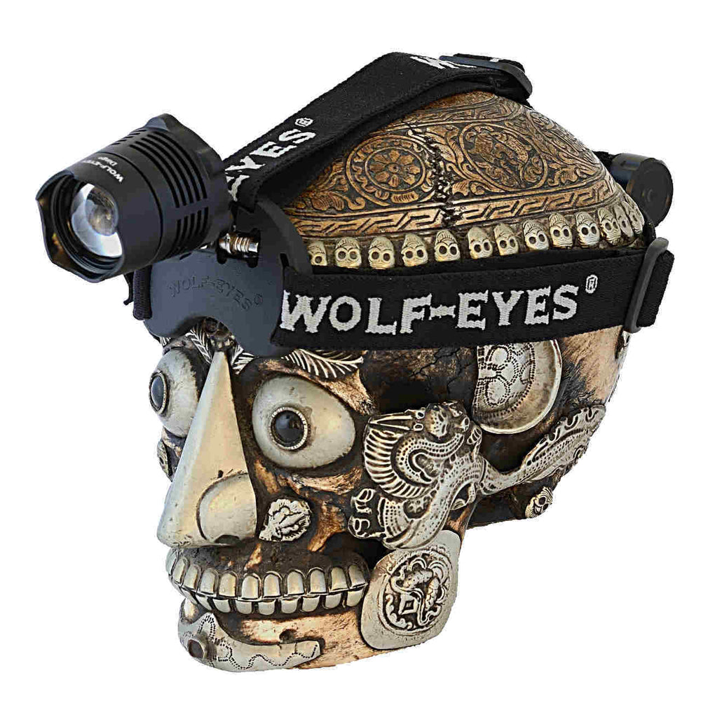 Dingo LED Headlamp rechargeable