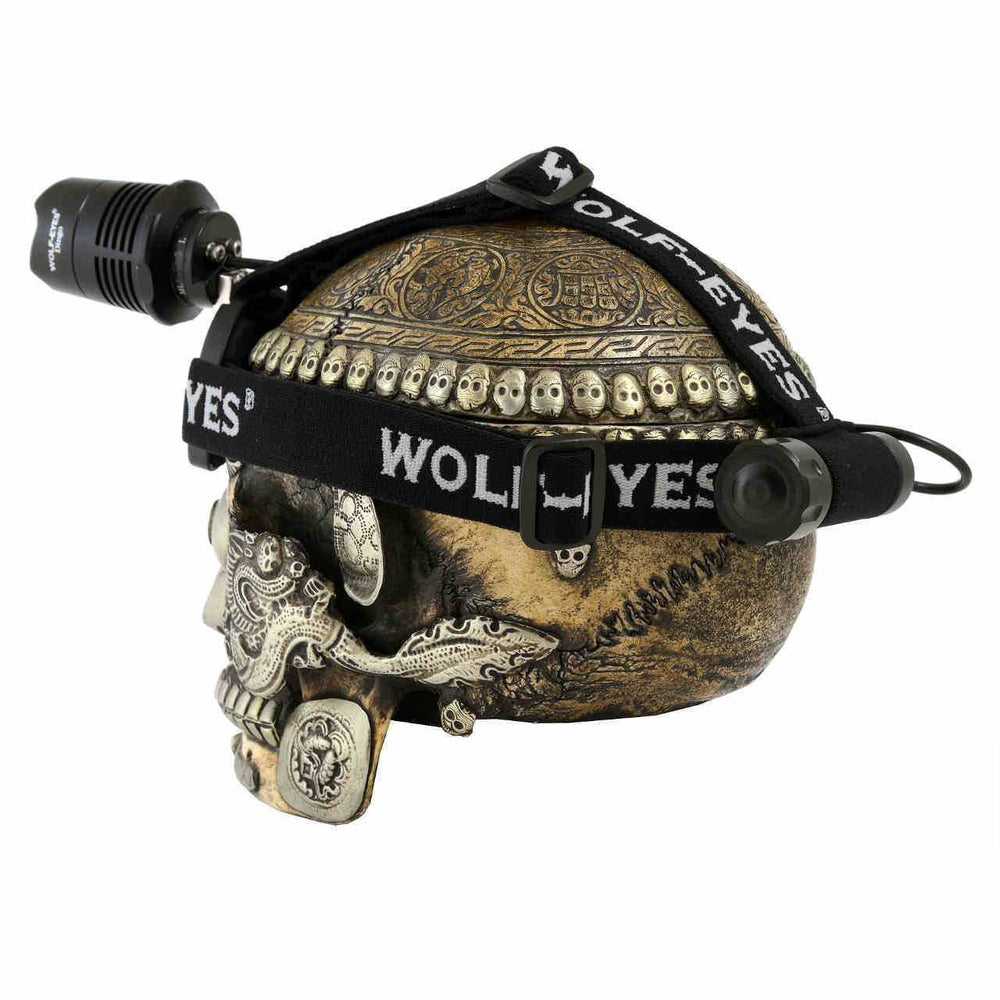 Dingo21 RED LED headlamp rechargeable
