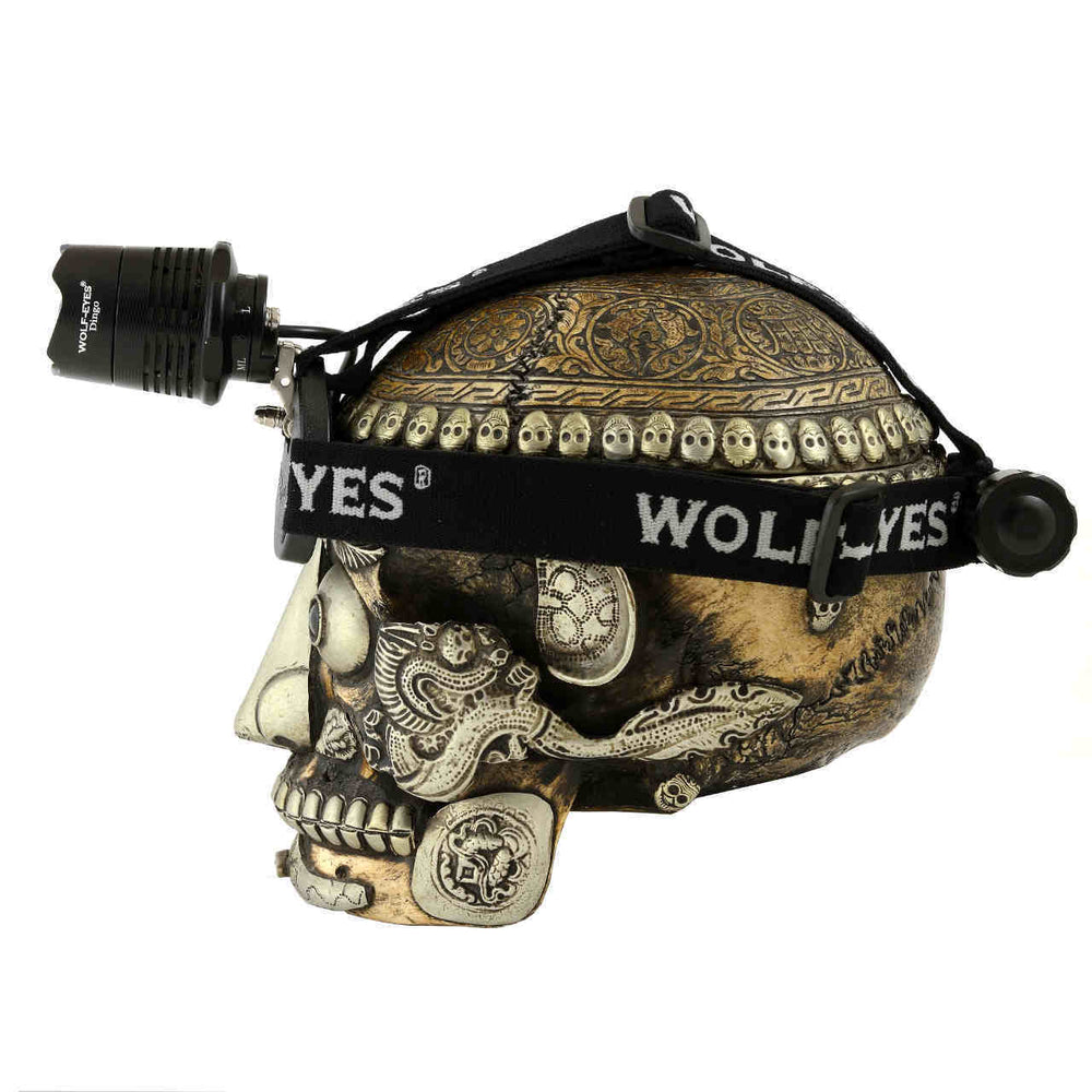 Dingo21 RED LED headlamp rechargeable